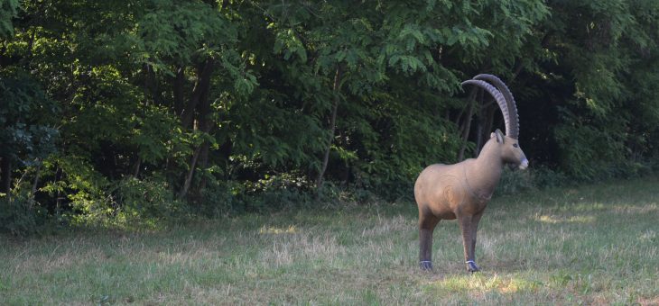 3D di Montebelluna 2020 – 19/07/2020